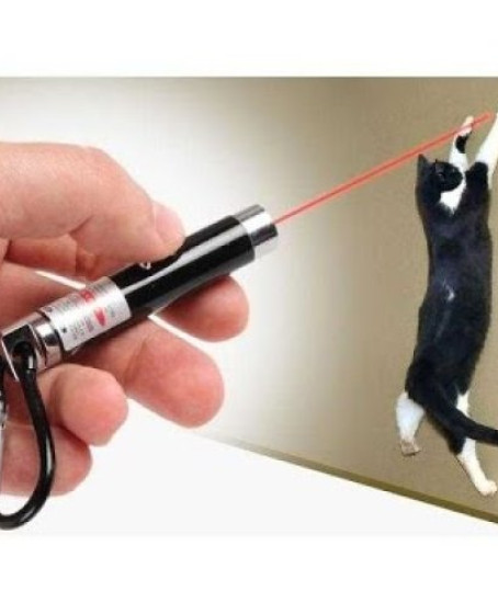 4 Yedek Başlıklı Pilli Kedi Oyuncağı Lazer Anahtarlık