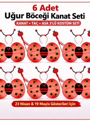 6'lı Uğur Böceği Ateş Böceği Kostüm Seti – Kanat Taç Asa
