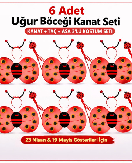 6'lı Uğur Böceği Ateş Böceği Kostüm Seti – Kanat Taç Asa 6'lı Uğur Böceği Ateş Böceği Kostüm Seti – Kanat Taç Asa
