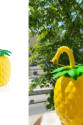 Ananas Pipetli Suluk Ananas Pipetli Suluk