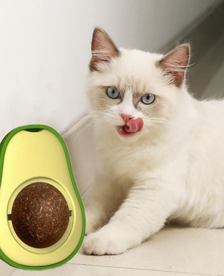Avokado Dönen Kedi Nanesi Cat Oyun Topu Doğal Kedi Oyuncağı