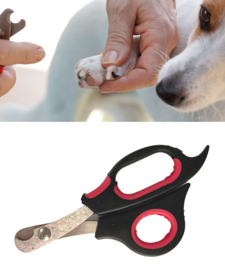 Büyük Boy Evcil Hayvan Köpek Kedi Çelik Uçlu Tırnak Makası Pati Bakım Aleti