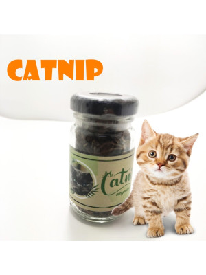 Catnip Doğal Kedi Otu - Kedi Nanesi