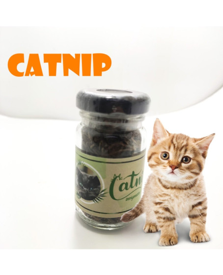 Catnip Doğal Kedi Otu - Kedi Nanesi