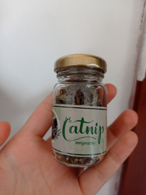 Catnip Doğal Kedi Otu - Kedi Nanesi Catnip Doğal Kedi Otu - Kedi Nanesi