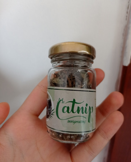 Catnip Doğal Kedi Otu - Kedi Nanesi