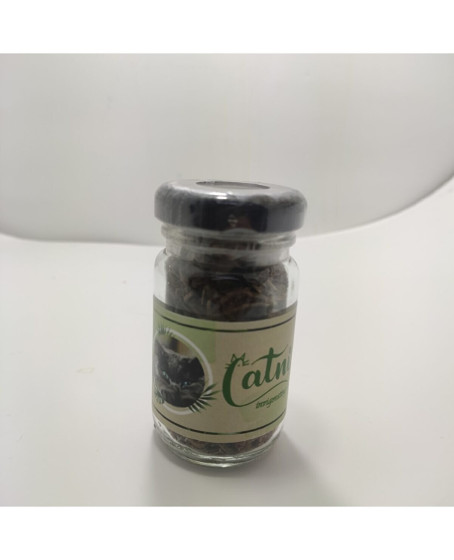 Catnip Doğal Kedi Otu - Kedi Nanesi