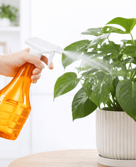Çok Amaçlı Fısfıs Çiçek Sulama Şeffaf Su Sprey Şişesi 500 ML Çok Amaçlı Fısfıs Çiçek Sulama Şeffaf Su Sprey Şişesi 500 ML