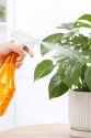 Çok Amaçlı Fısfıs Çiçek Sulama Şeffaf Su Sprey Şişesi 500 ML Çok Amaçlı Fısfıs Çiçek Sulama Şeffaf Su Sprey Şişesi 500 ML