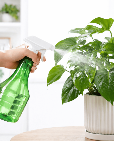Çok Amaçlı Fısfıs Çiçek Sulama Şeffaf Su Sprey Şişesi 500 ML Çok Amaçlı Fısfıs Çiçek Sulama Şeffaf Su Sprey Şişesi 500 ML