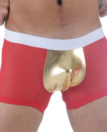 Fantezi Taraftar Boxer