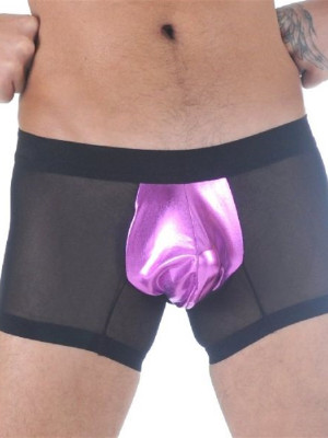 Transparan Boxer