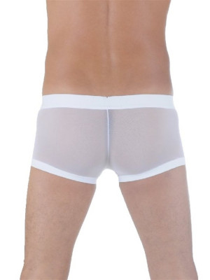 Transparan Boxer