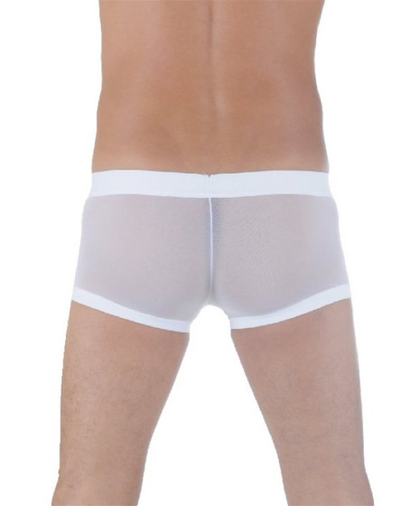Transparan Boxer