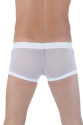 Transparan Boxer