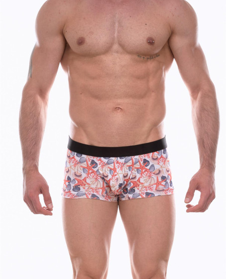 Erkek Desenli Boxer