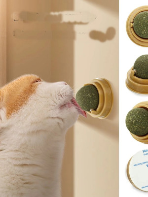 Duvara Yapışan Dönen Kedi Nanesi Cat Oyun Topu Doğal Kedi Oyuncağı