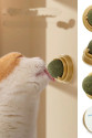 Duvara Yapışan Dönen Kedi Nanesi Cat Oyun Topu Doğal Kedi Oyuncağı Duvara Yapışan Dönen Kedi Nanesi Cat Oyun Topu Doğal Kedi Oyuncağı