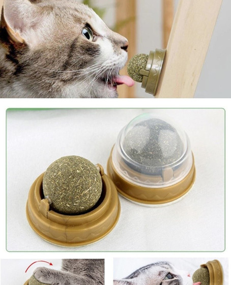 Duvara Yapışan Dönen Kedi Nanesi Cat Oyun Topu Doğal Kedi Oyuncağı Duvara Yapışan Dönen Kedi Nanesi Cat Oyun Topu Doğal Kedi Oyuncağı