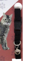 Elastik Ayarlanabilir Çıngıraklı Kedi Tasması Elastik Ayarlanabilir Çıngıraklı Kedi Tasması