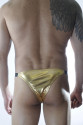 Erkek Gold Lame Brazillian Slip İç Çamaşırı