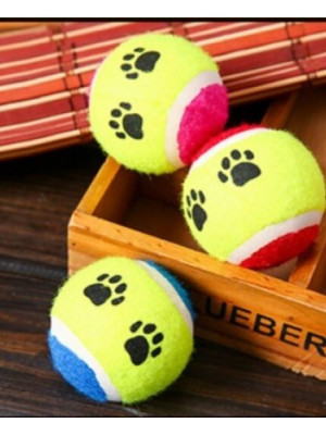 At Getir Köpek Eğitim Topu