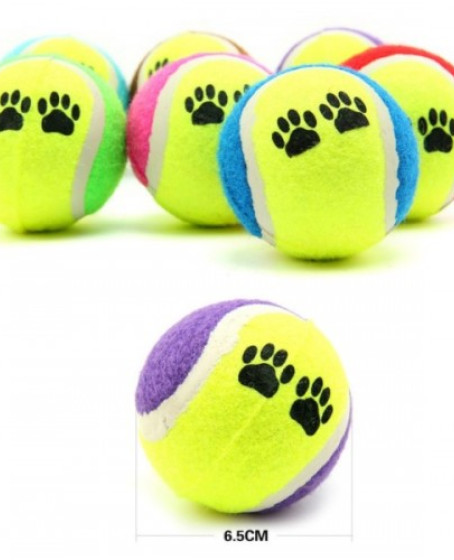 At Getir Köpek Eğitim Topu At Getir Köpek Eğitim Topu