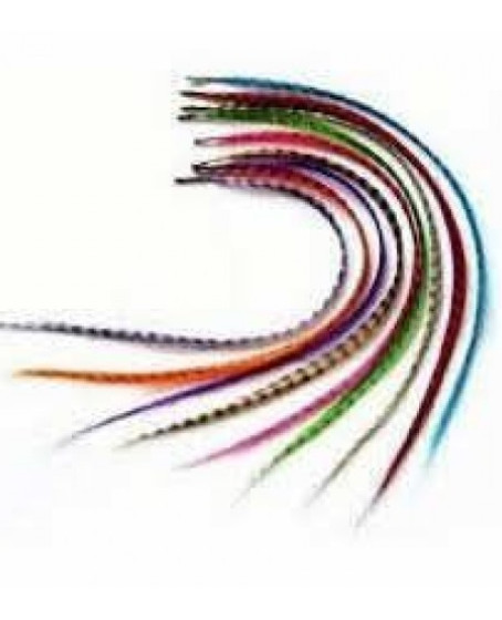 Hair Feather Saç Tüyü - Asorti Hair Feather Saç Tüyü - Asorti