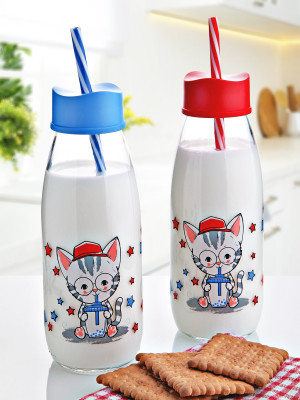 Hayvan Figürlü Pipetli Su Ve Süt Şişesi Cam 500 ML
