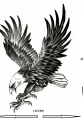 Kartal Geçici Dövme Şablonu Büyük Boy Kartal Geçici Dövme Şablonu Büyük Boy