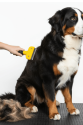 Kedi & Köpekler İçin Tüy Alıcı 7 cm Kedi & Köpekler İçin Tüy Alıcı 7 cm