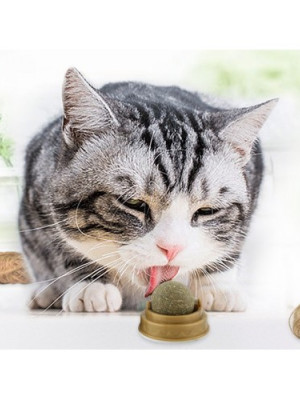 Kedi Nanesi Oyun Topu