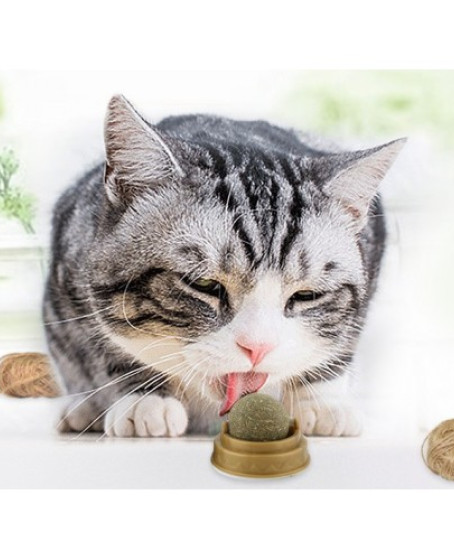 Kedi Nanesi Oyun Topu