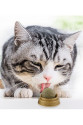 Kedi Nanesi Oyun Topu