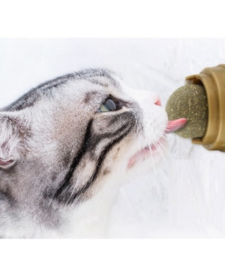 Kedi Nanesi Oyun Topu