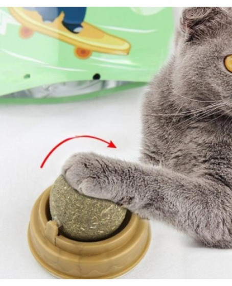 Kedi Nanesi Oyun Topu