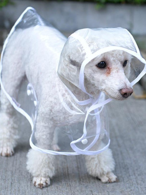 Köpek Yağmurluğu -Sarı - (X Small)