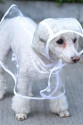 Köpek Yağmurluğu -Sarı - (X Small) Köpek Yağmurluğu -Sarı - (X Small)