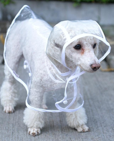 Köpek Yağmurluğu -Sarı - (Small) Köpek Yağmurluğu -Sarı - (Small)