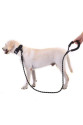 Köpekler İçin Gezdirme Tasması Reflektörlü 130 cm Halat Orta ve Büyük Boy Köpekler İçin Siyah Köpekler İçin Gezdirme Tasması Reflektörlü 130 cm Halat Orta ve Büyük Boy Köpekler İçin Siyah