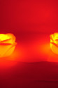 Led Işıklı Gül Romantik Gül