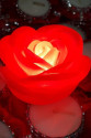 Led Işıklı Gül Romantik Gül