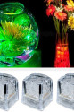 Led Işıklı Buz Küpleri Led Işıklı Buz Küpleri