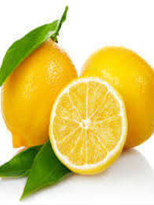 Limon Bonesi / 50 Adet / Bitki Çayı Bonesi