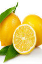 Limon Bonesi / 50 Adet / Bitki Çayı Bonesi Limon Bonesi / 50 Adet / Bitki Çayı Bonesi