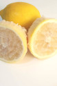 Limon Bonesi / 500 Adet / Bitki Çayı Bonesi Limon Bonesi / 500 Adet / Bitki Çayı Bonesi