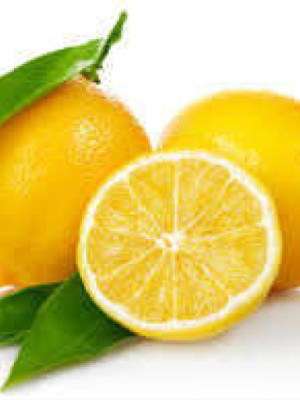 Limon Bonesi / 500 Adet / Bitki Çayı Bonesi Limon Bonesi / 500 Adet / Bitki Çayı Bonesi