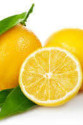 Limon Bonesi / 500 Adet / Bitki Çayı Bonesi Limon Bonesi / 500 Adet / Bitki Çayı Bonesi