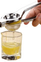 Paslanmaz Çelik Limon Sıkacağı Paslanmaz Çelik Limon Sıkacağı