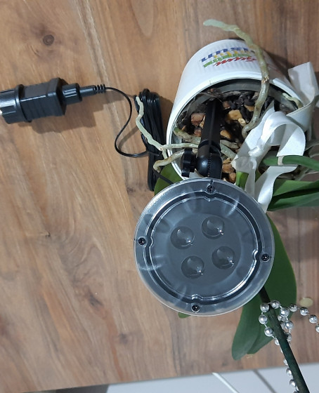 Peri Led Işık 5 metre BEYAZ Dekor Lambası 50 Ledli Peri Led Işık 5 metre BEYAZ Dekor Lambası 50 Ledli